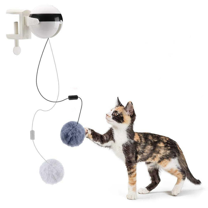 Cat Toy Automático