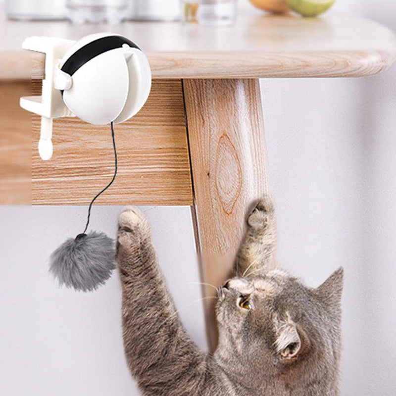 Cat Toy Automático